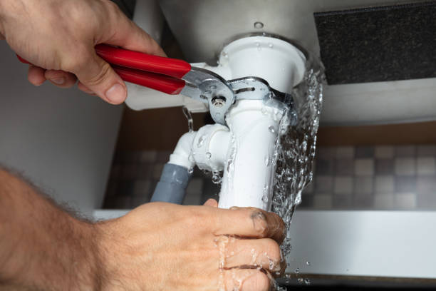 Best Sewage cleanup and water damage restoration  in University Park, MD