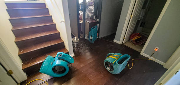 Best Residential water damage restoration  in University Park, MD