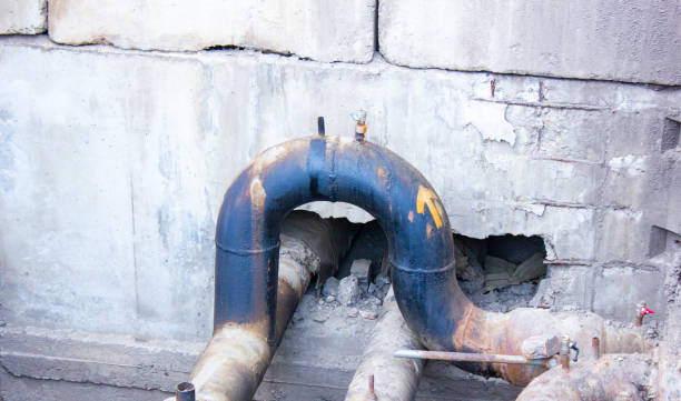 Best Local water damage restoration  in University Park, MD