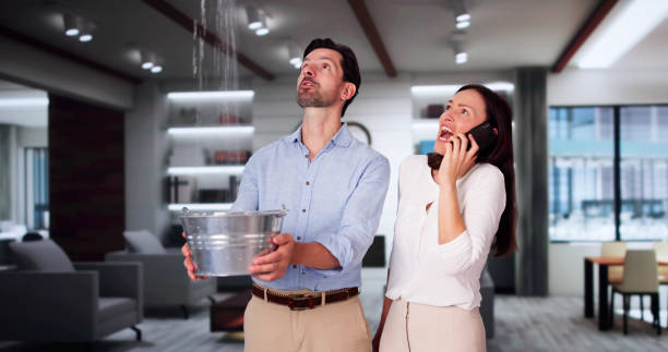 Best Professional water damage repair  in University Park, MD